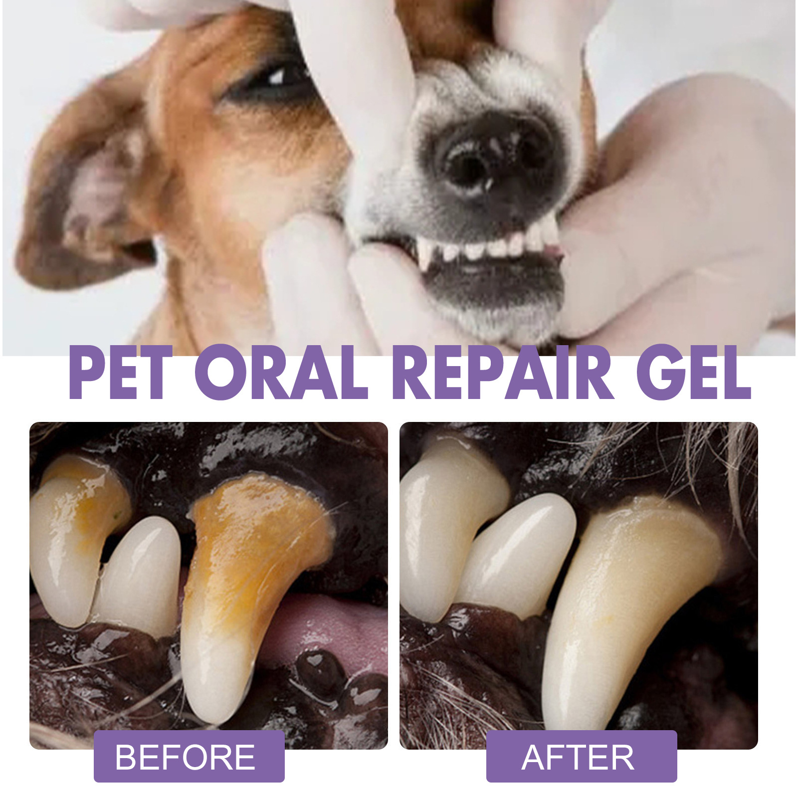 Pet Oral Repair Gel Puppy Tart - огляд і ціна Teeth Whitening Gum